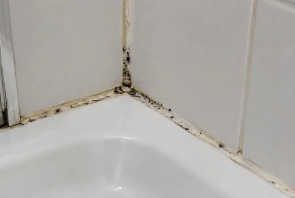 Kitbedrijf Werkhoven – beschimmelde kitranden